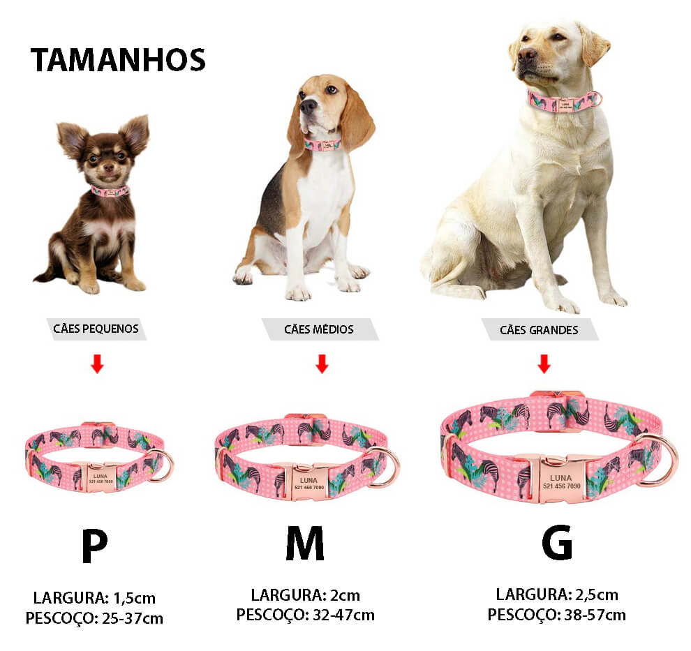 Coleira Estampada Para Cães e Gatos - Personalizada Com Nome e Telefone