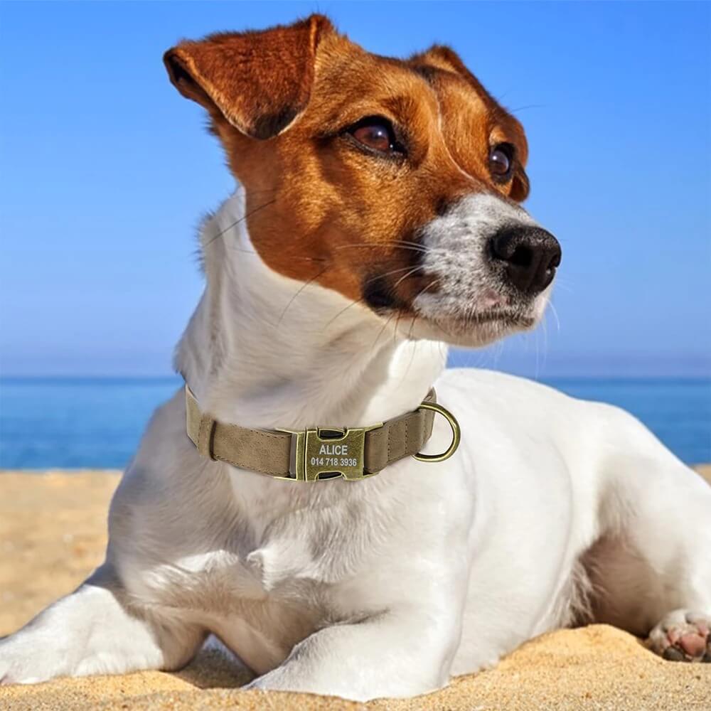 Coleira de Couro Para Cães Personalizada Com Informações do Pet