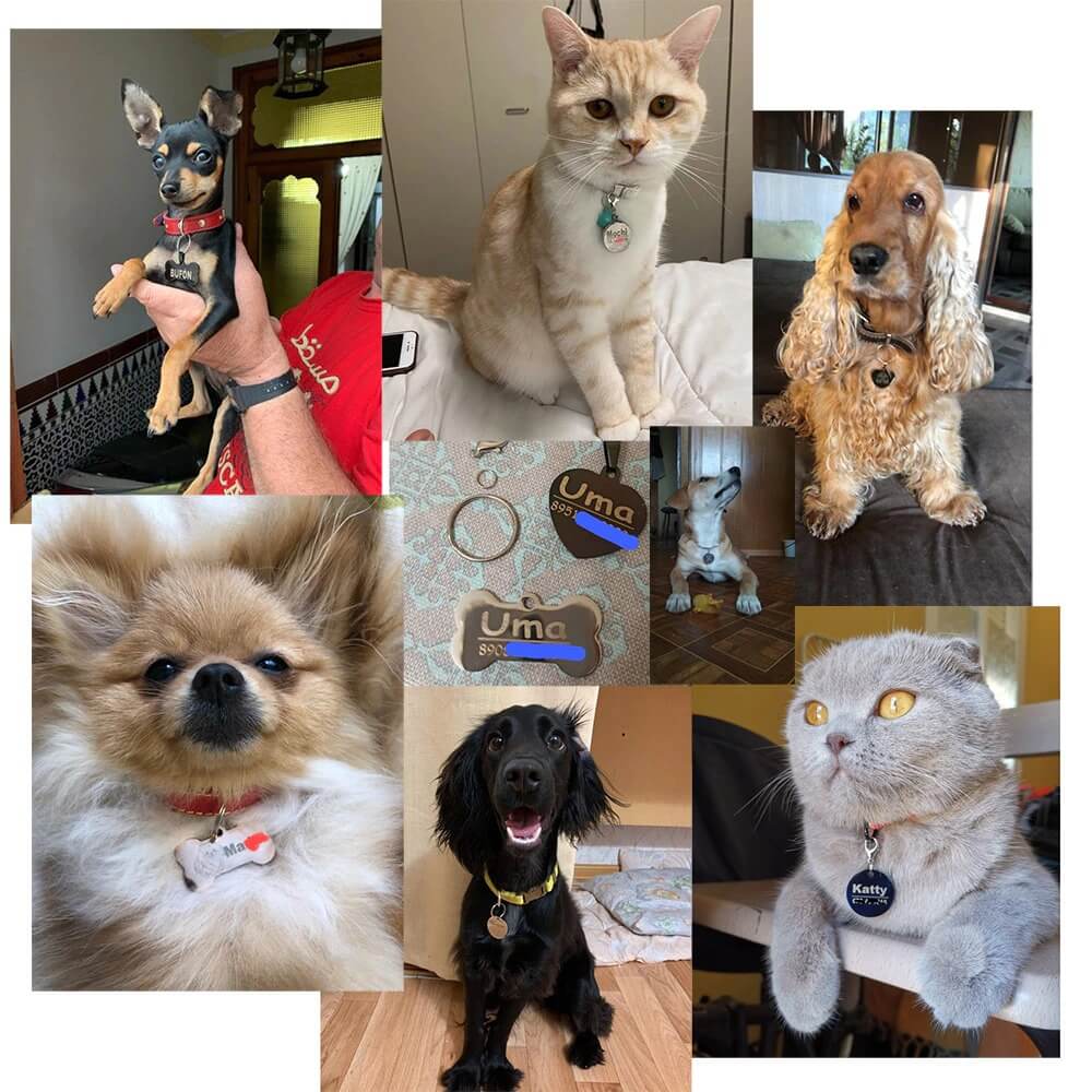 Plaquinha de Identificação Personalizada - Para Cães e Gatos