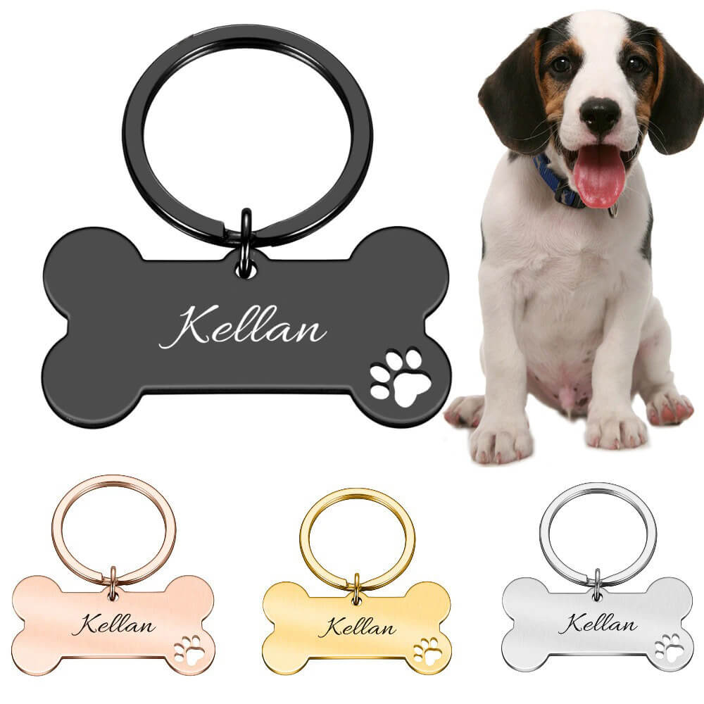 Plaquinha de Identificação Personalizada Para Cães - Modelo Osso