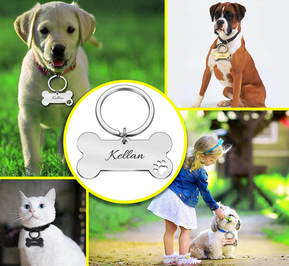 Plaquinha de Identificação Personalizada Para Cães - Modelo Osso