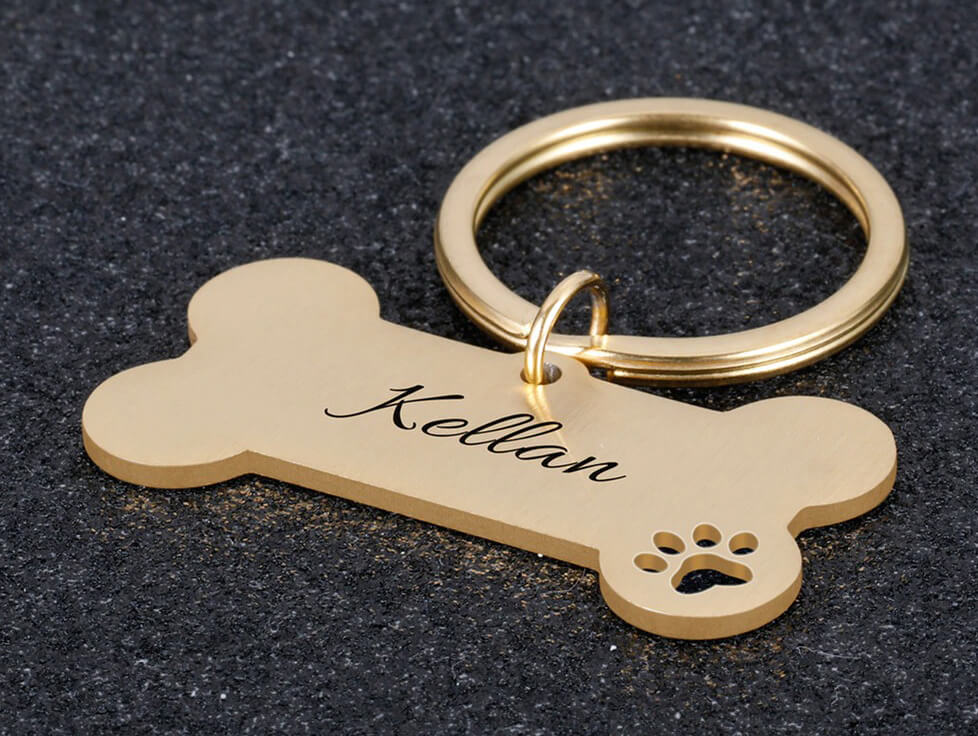 Plaquinha de Identificação Personalizada Para Cães - Modelo Osso