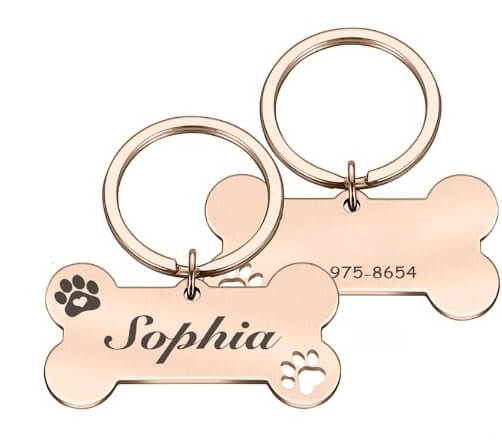 Plaquinha de Identificação Personalizada Para Cães - Modelo Osso