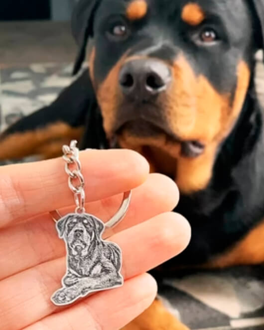 Chaveiro de Metal Personalizado Com a Foto do Seu Pet