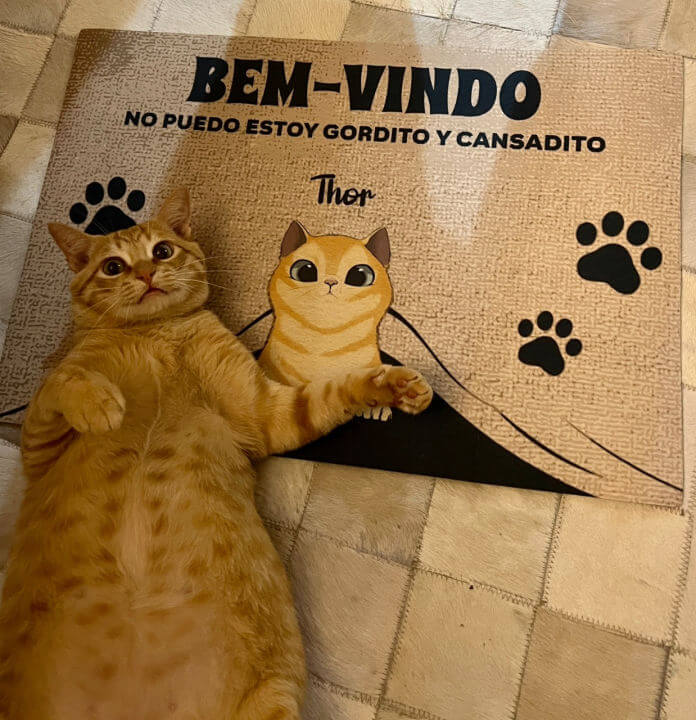 Capacho Tapete Personalizado Com Nome e Desenho do Seu Pet