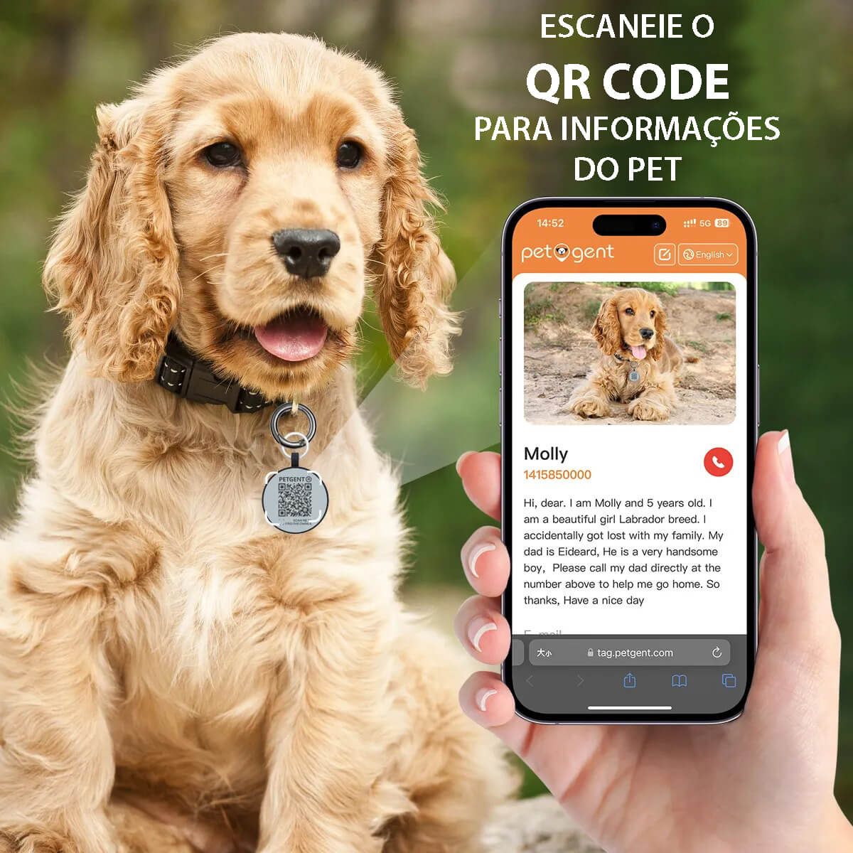 Plaquinha de Identificação Para Cães e Gatos Com QR Code