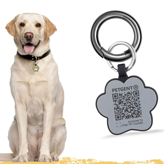 Plaquinha de Identificação Para Cães e Gatos Com QR Code